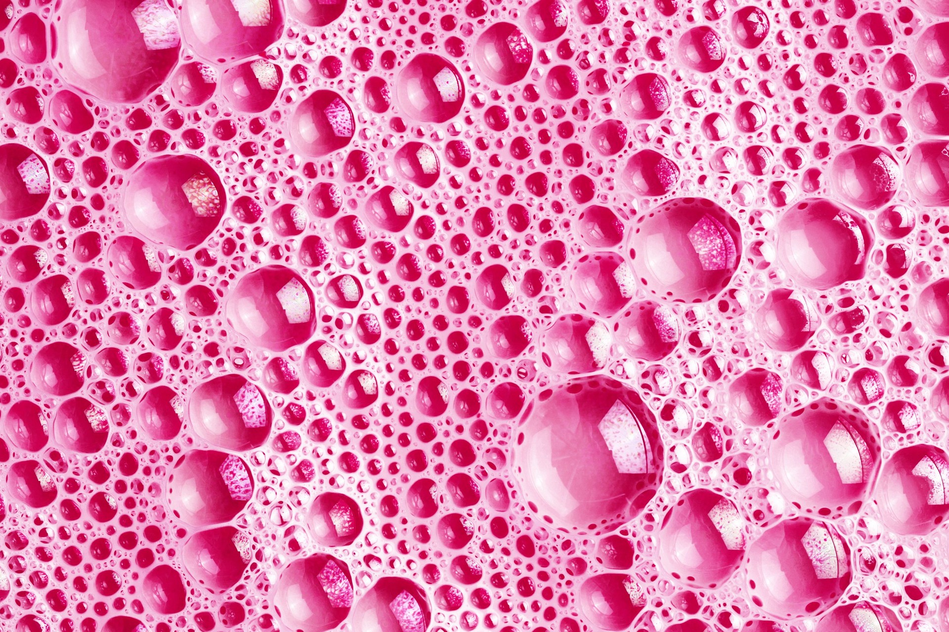 Pink foam background. Soap bubble structure. Closeup washing suds texture.